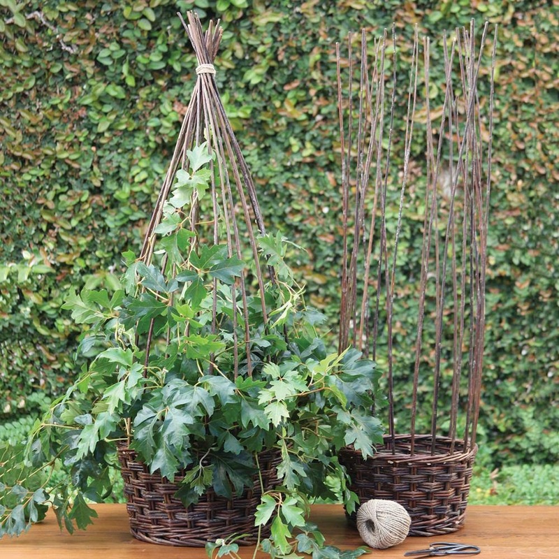 Willow Gathered Baskets - Set of 2 - Natural By HomArt