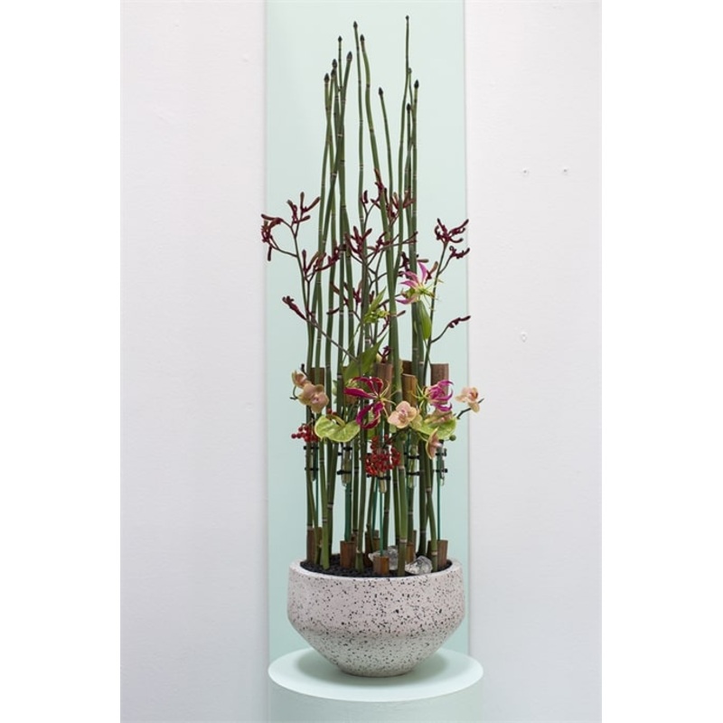 Razzo Collection Bowl by Accent Decor