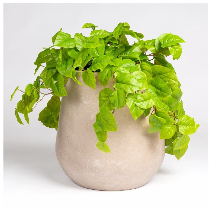 Philodendron in Urbano Bell Planter by Gold Leaf Design Group