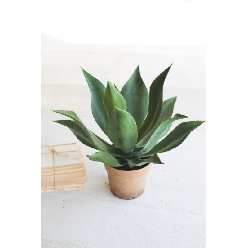 Kalalou Artificial Agave In A Painted Plastic Pot