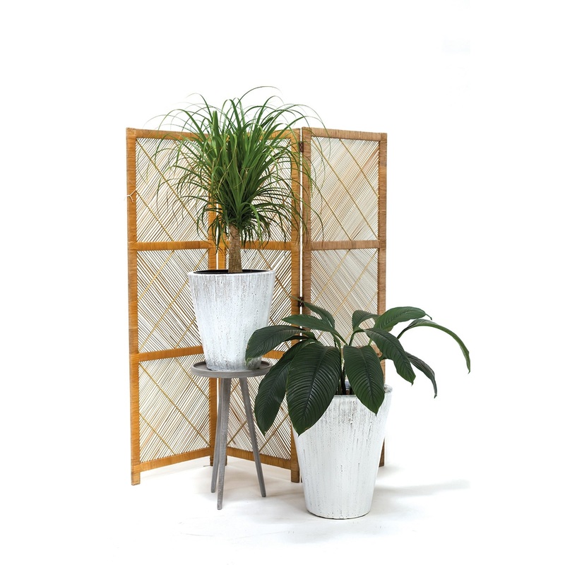 Camy Planter By Accent Decor
