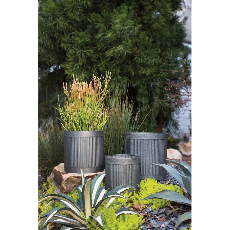 Derby Collection Pot Set of 4 By Accent Secor