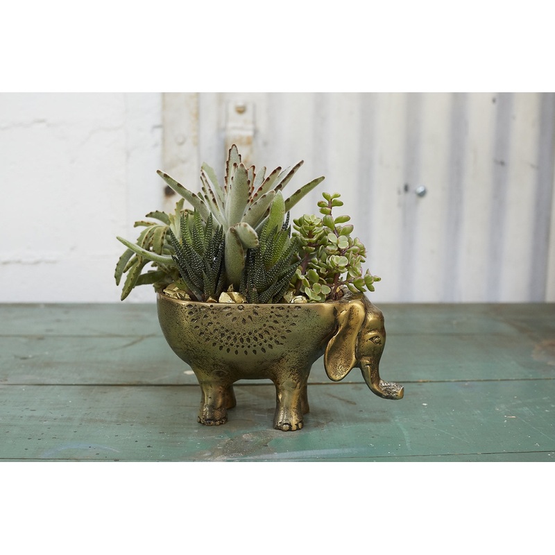 Ezzie Elephant Pot Set Of 4 By Accent Decor