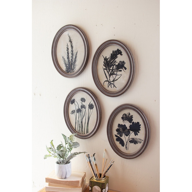 Oval Botanical Prints Under Glass Set Of 4 By Kalalou