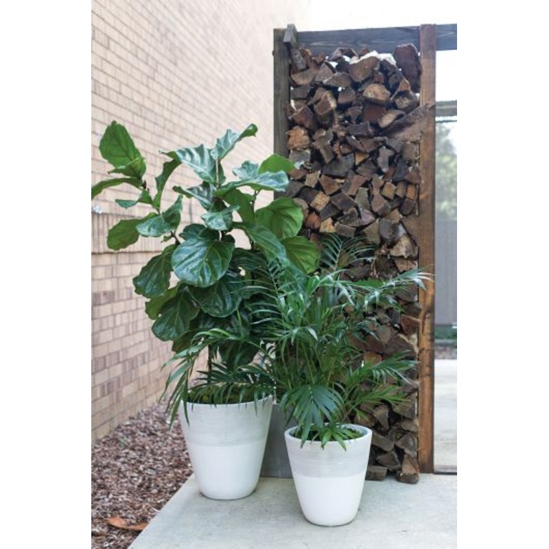 Lifestyle Planter By Accent Decor