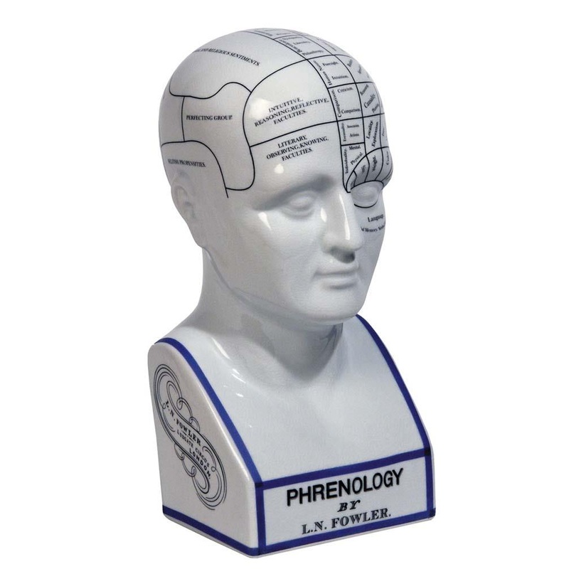 Phrenology Head by Authentic Models