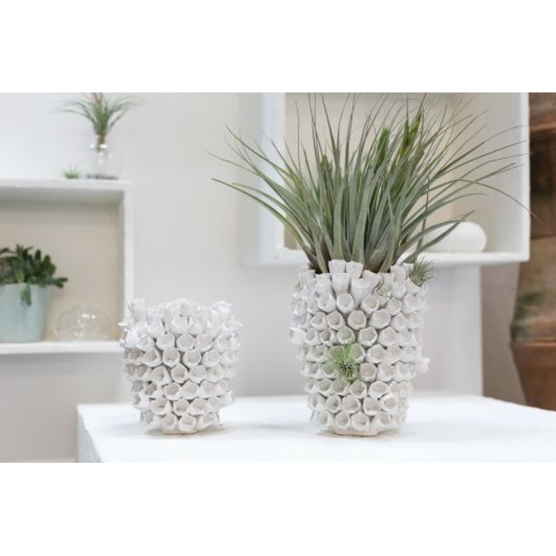 ANEMONE VASE By Accent Decor
