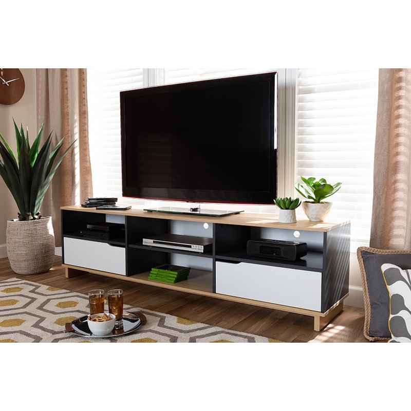Baxton Studio Reed Mid-Century Modern Multicolor 2-Drawer Wood TV Stand