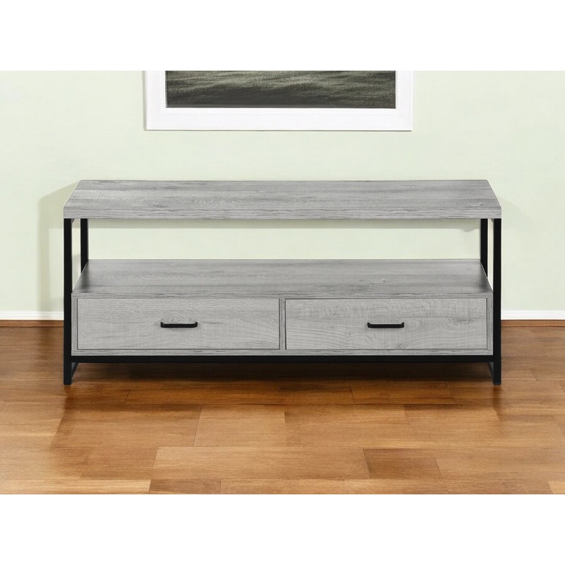 Gray Cabinet Enclosed Storage TV Stand By Homeroots