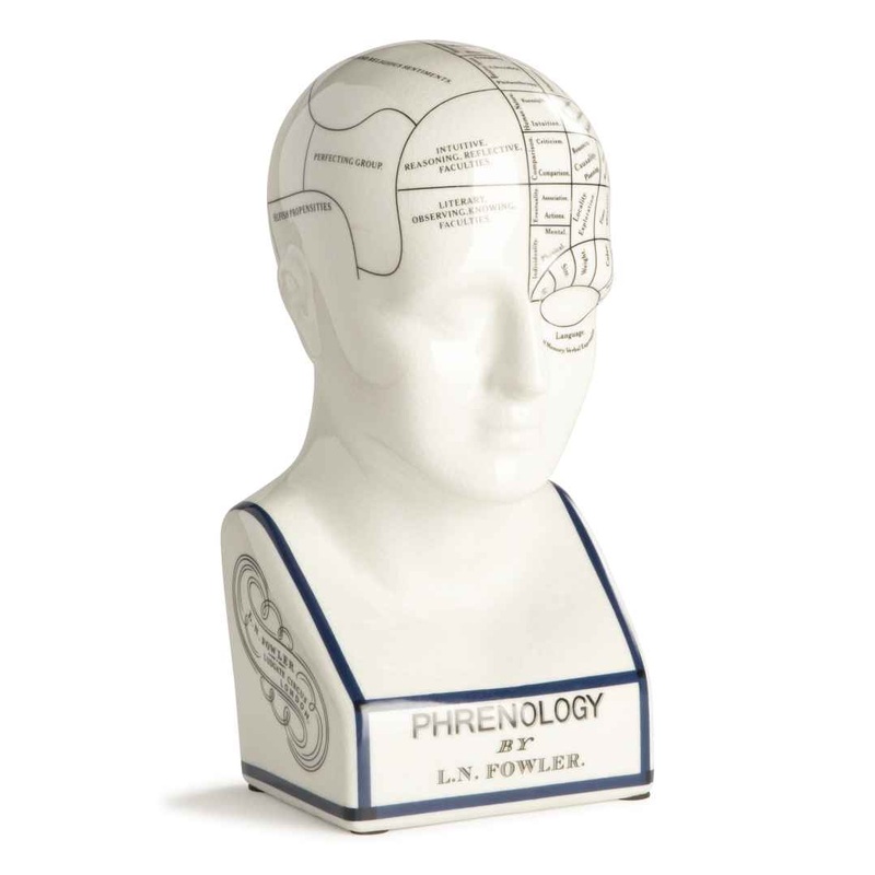 Phrenology Head Small By Authentic Models
